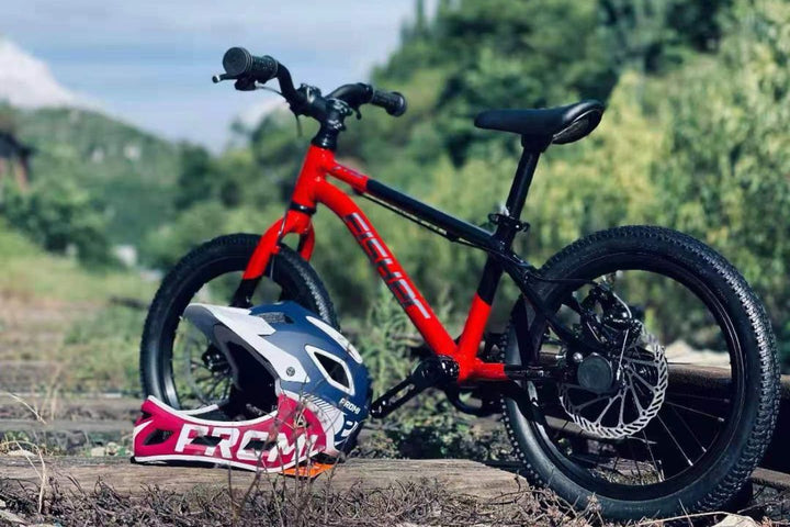 Fisher Rider 20" 9 Speed with Oil Disc Brake Kids Bike 28GOODS
