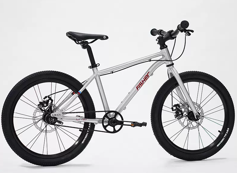 Fisher Rider 20" Painted Disc Brake Kids Bike 28GOODS