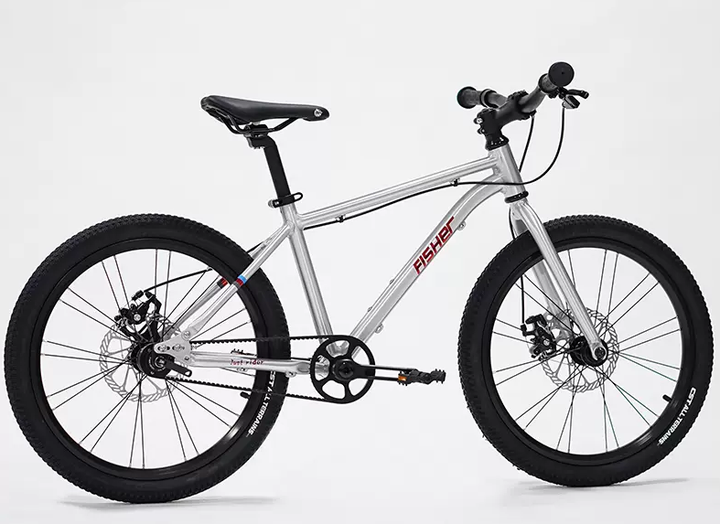 Fisher Rider 20" Painted Disc Brake Kids Bike 28GOODS