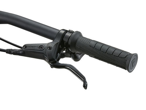2025 GIANT FAITH 24 MOUNTAIN BIKE 28GOODS