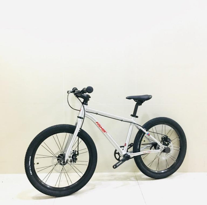 Fisher Rider 20" Painted Disc Brake Kids Bike 28GOODS