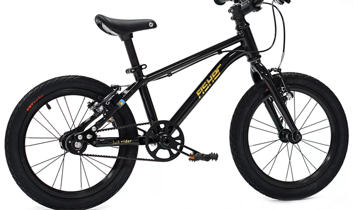 Fisher Rider 20" V-Brake with Belt Drive Kids Bike 28GOODS
