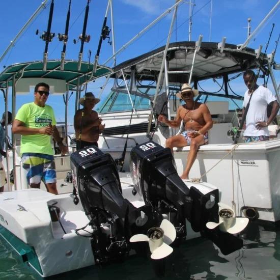 PARSUN 2 Stroke Outboard Boat Engine 2.6hp-90hp 28GOODS