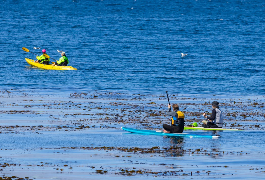 Kayak vs. Paddle Board: Which Water Adventure is Right for You? 28GOODS