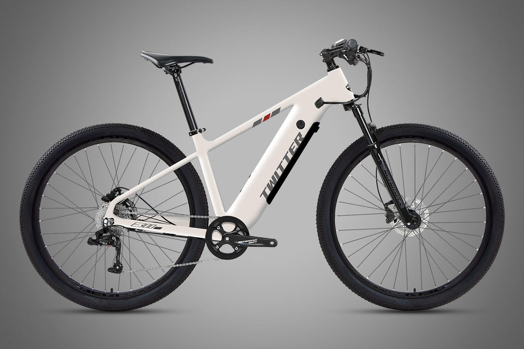 2025 CYCTRAC E300 -2rd E-Bike