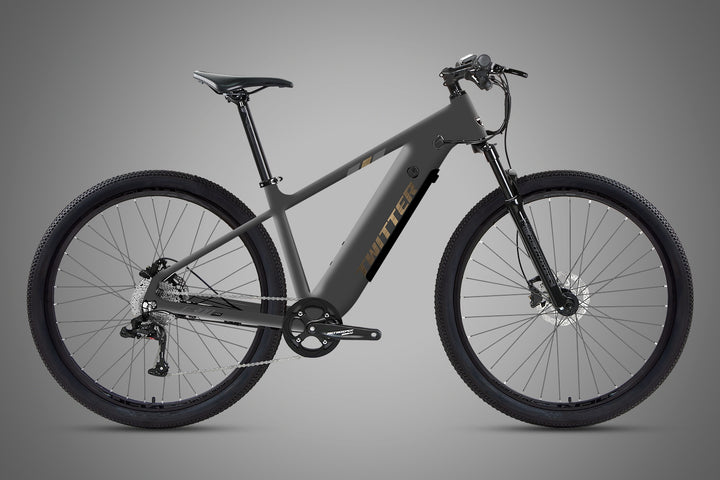 2025 CYCTRAC E300 -2rd E-Bike