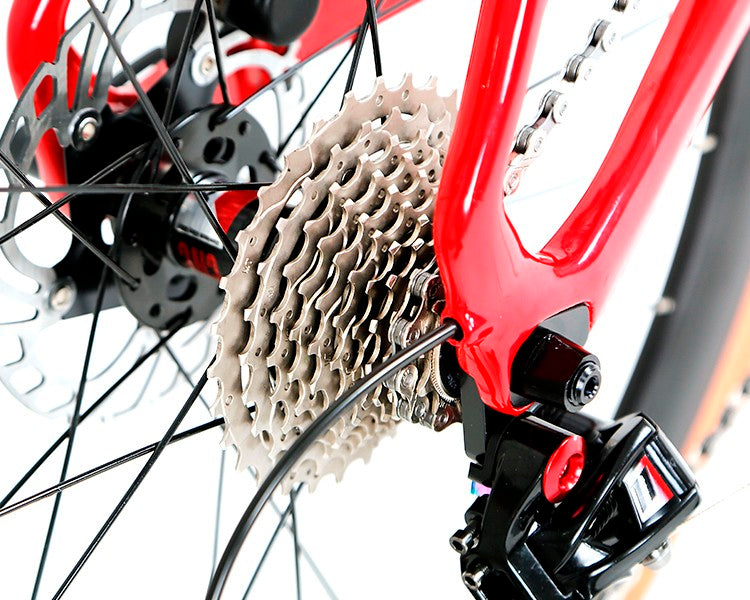 Twitter Freedom-Disc Carbon Fiber 24" Wheel Road Bike