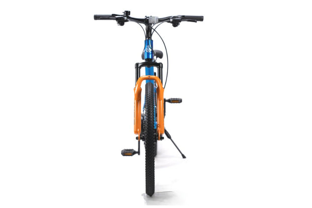 ROYAL BABY RB24-29 KING Aluminum alloy 21-speed front suspension mountain climbing bike - 24