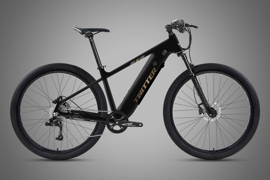 2025 CYCTRAC E300 -2rd E-Bike