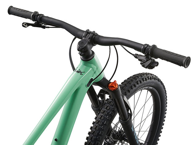 2025 LIV FAITH 24 MOUNTAIN BIKE 28GOODS