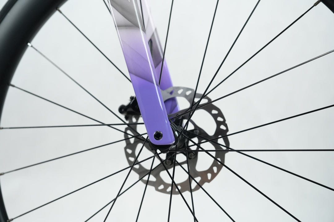 XDS 2025-RS7 24-Speed Road Bike