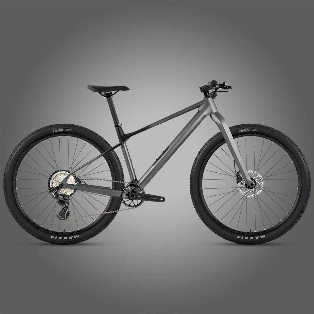 Twitter M10 carbon hardtail mountain bike – Matte Gray Black, side view