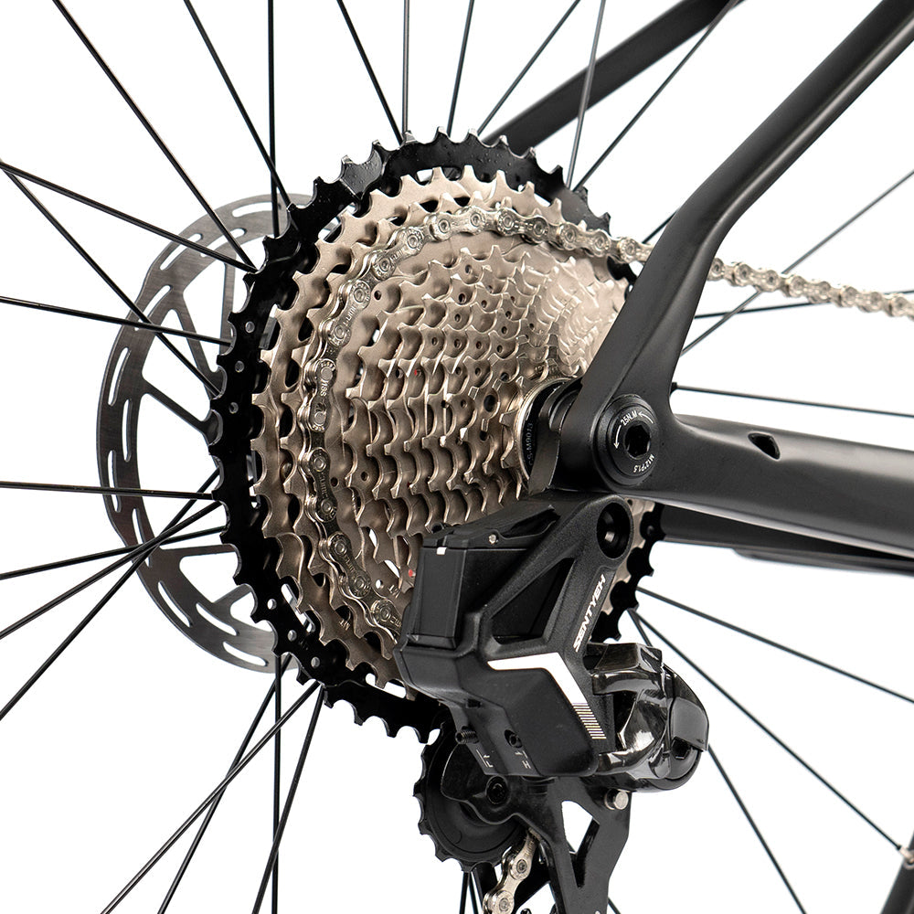 Twitter M10 carbon mountain bike – cassette and rear wheel detail