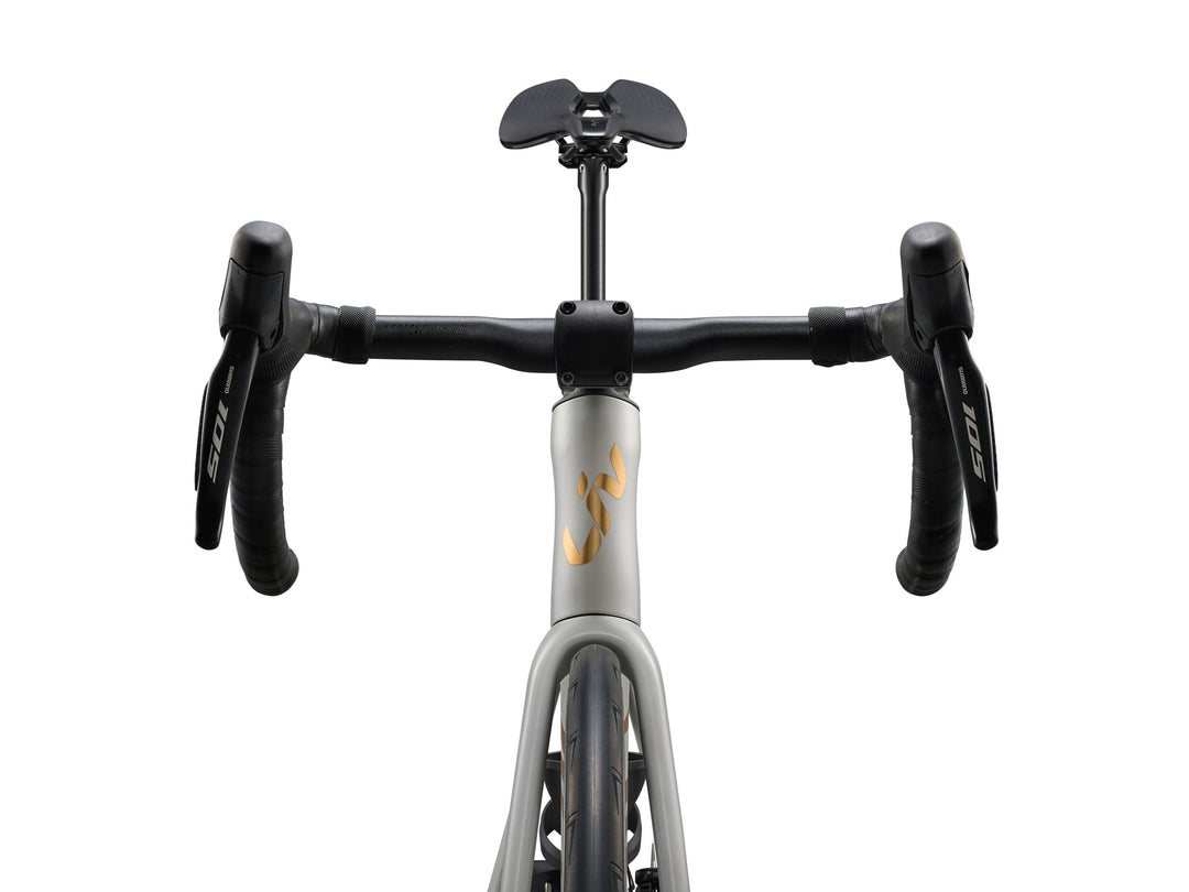 Liv EnviLiv Advanced 1 aero frameset detail