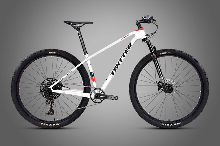 Twitter WARRIORpro (Boost)【Carbon fiber】Mountain Bike