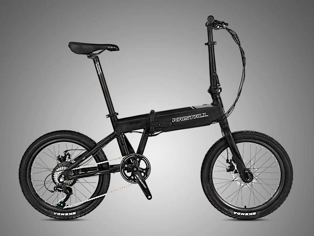 2025 F20 Folding E-Bike